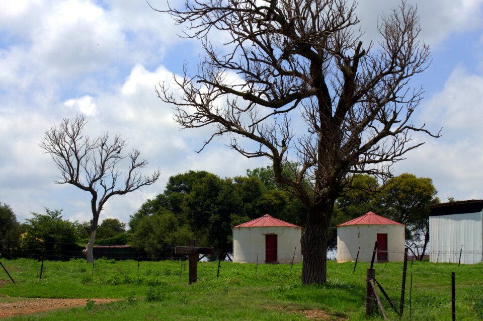 Countryside farming