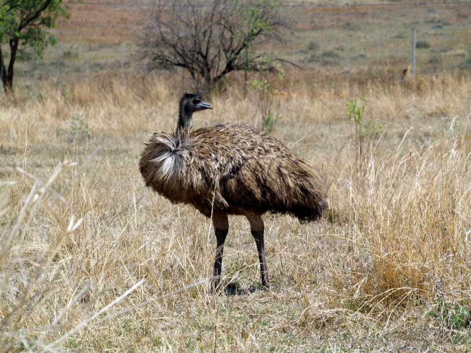 Mpumalanga south africa