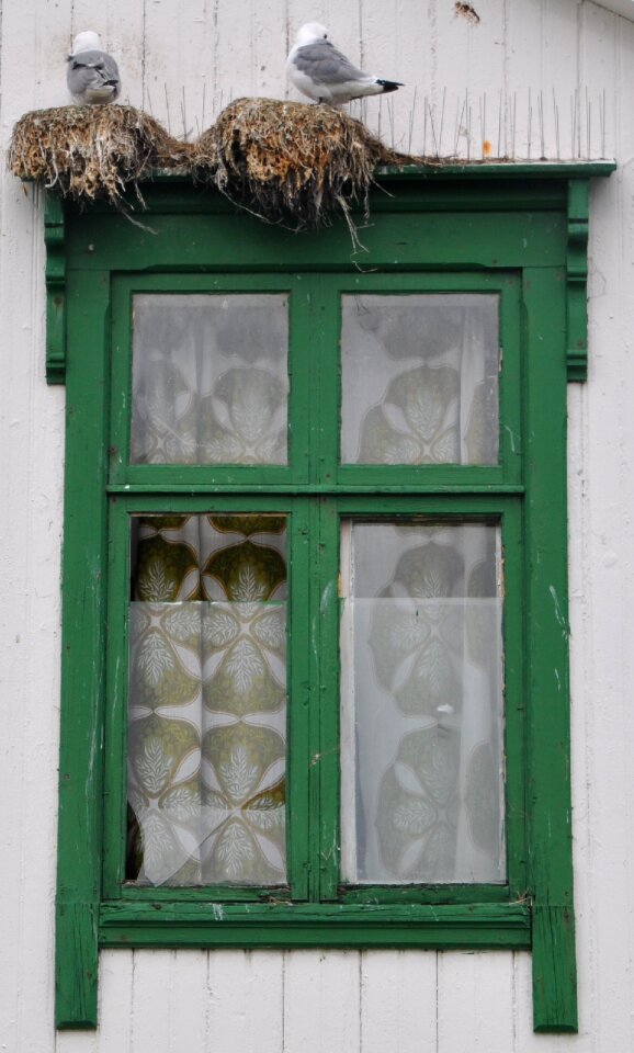 Old window architecture green