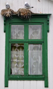 Old window architecture green