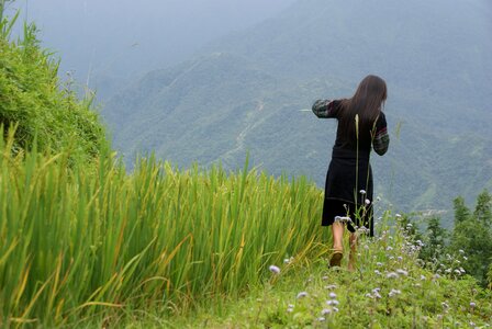 Vietnam landscape field photo