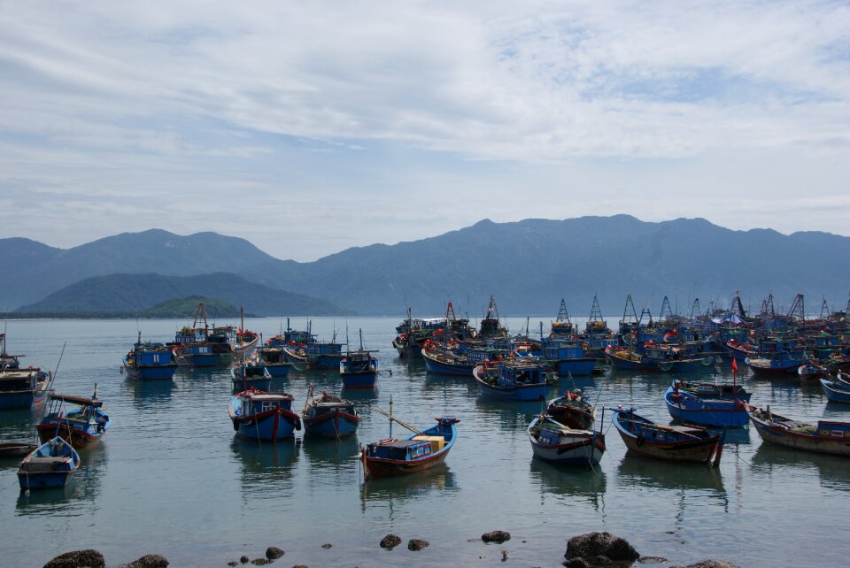 Coastline tranquil bay