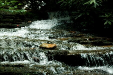 Nature forest rock