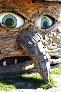 Fairy tales wooden specter green eyes
