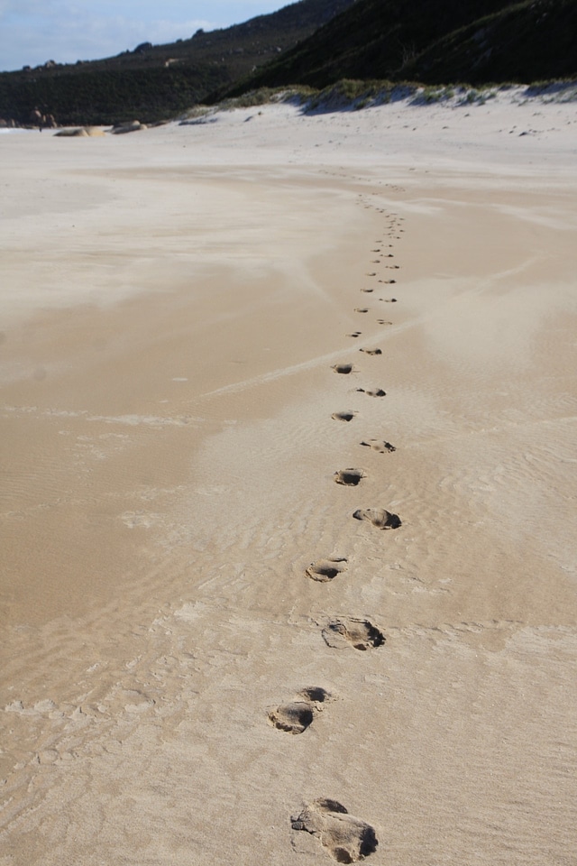 Walking marks sand