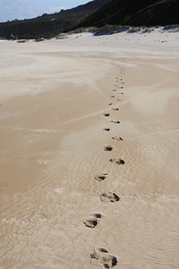 Walking marks sand photo