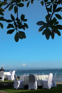 Beach wedding seaside patey white chairs photo