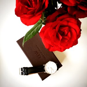 Rose dw accessories