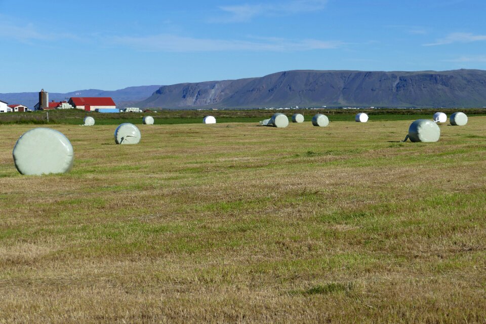 Mountains agriculture harvest