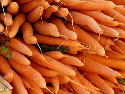 Food nutrition harvest