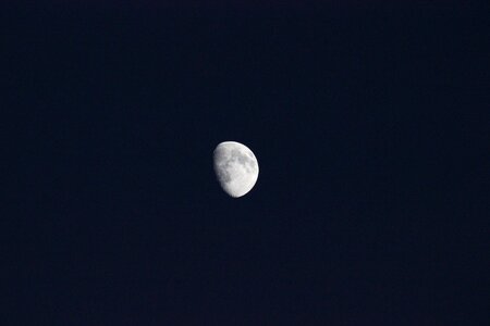 Luna night evening photo