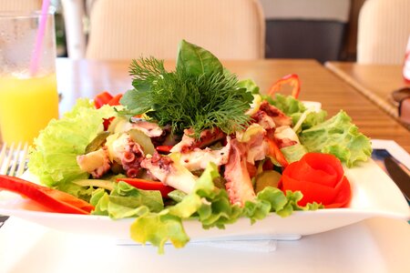 Salad octopus greens