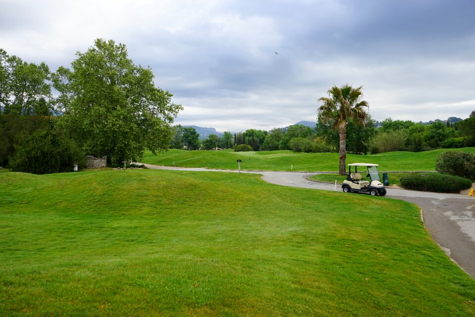 Golf cart landscape