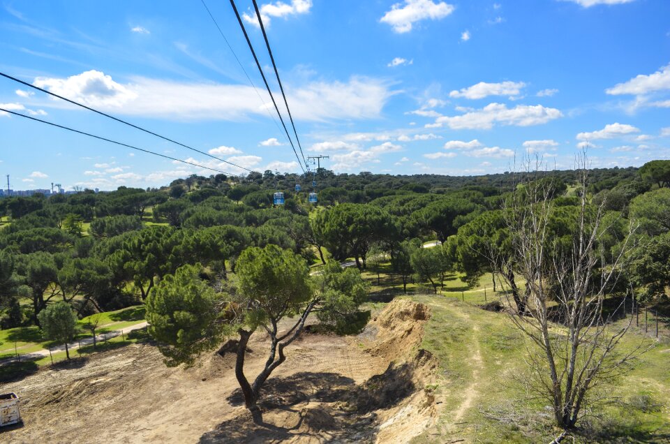 Spain capital forest