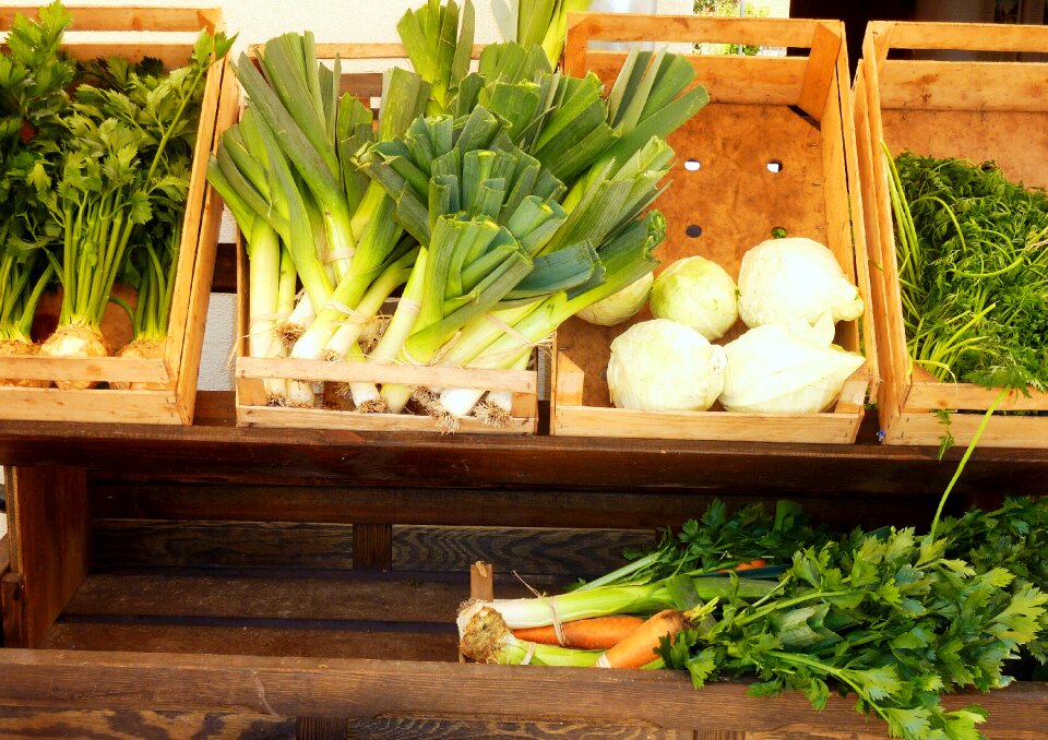 Soup greens kohlrabi parsley