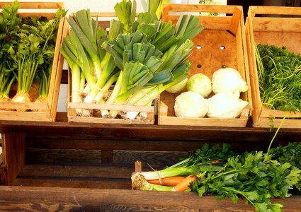 Soup greens kohlrabi parsley