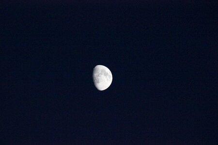 Luna night evening photo