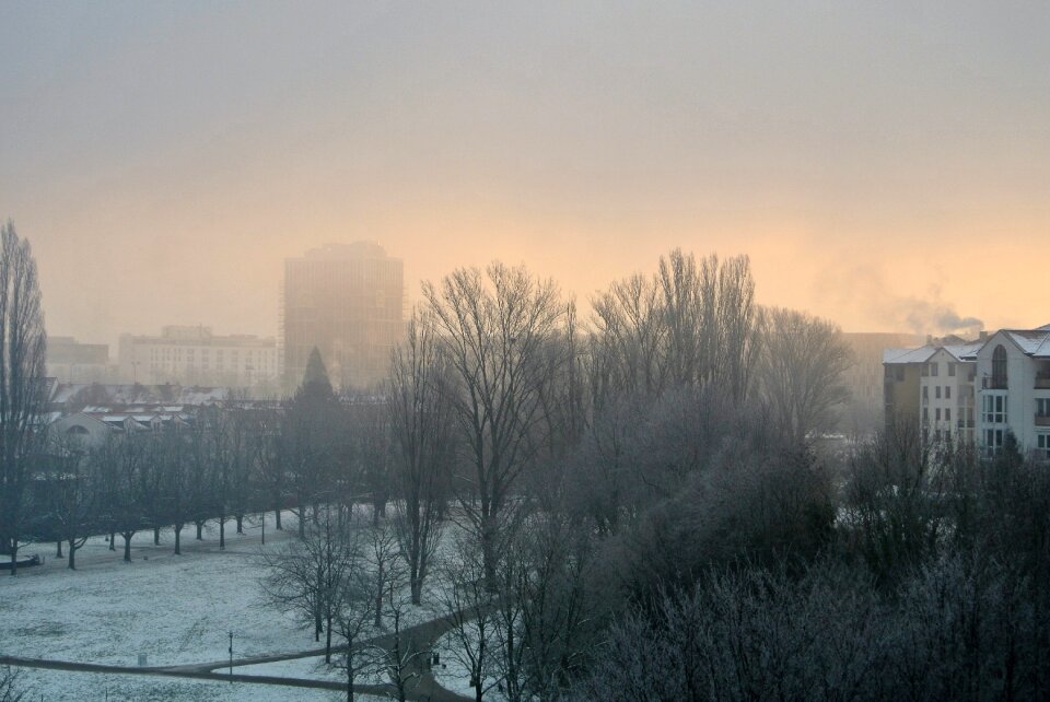 Foggy daybreak frosty photo