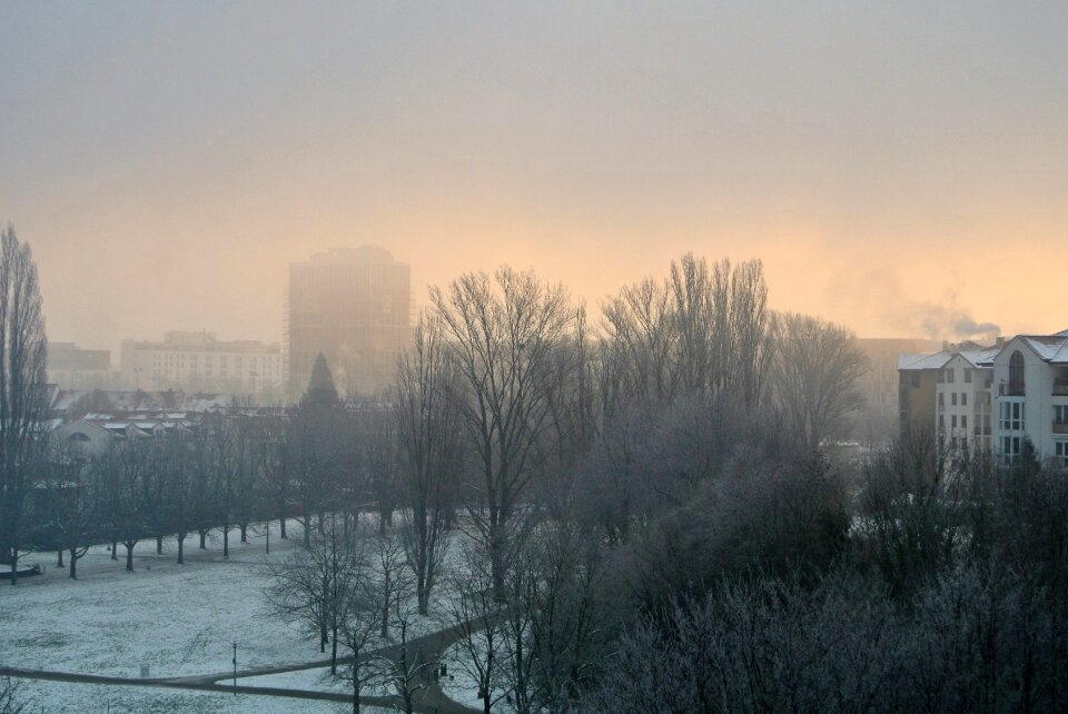 Foggy daybreak frosty