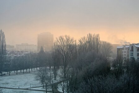 Foggy daybreak frosty photo