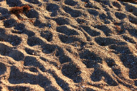 Stones sand beach baltic sea