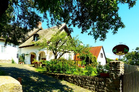 Hungary lake balaton reed