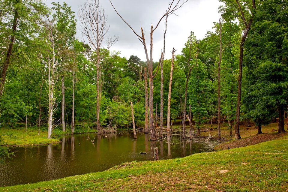 Reflections landscape scenic