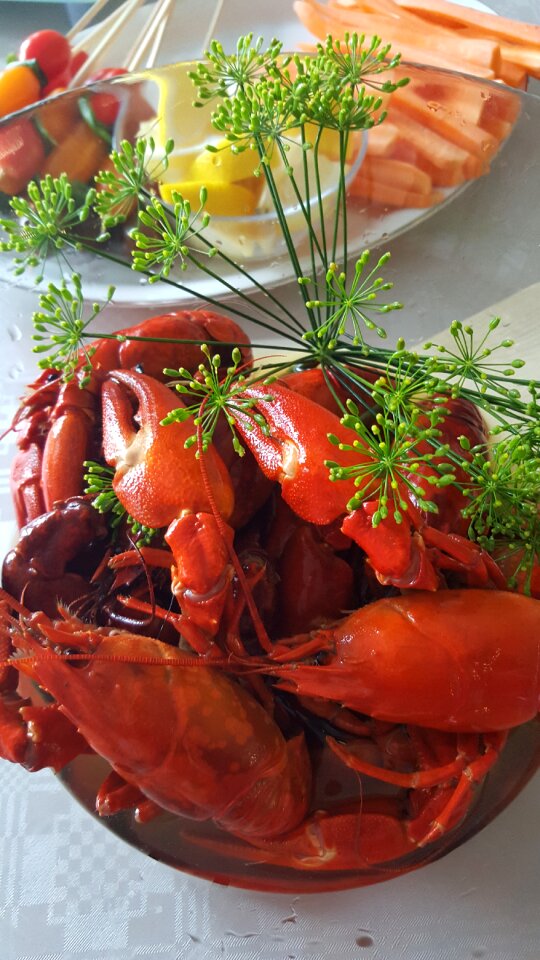 Seafood crustaceans red