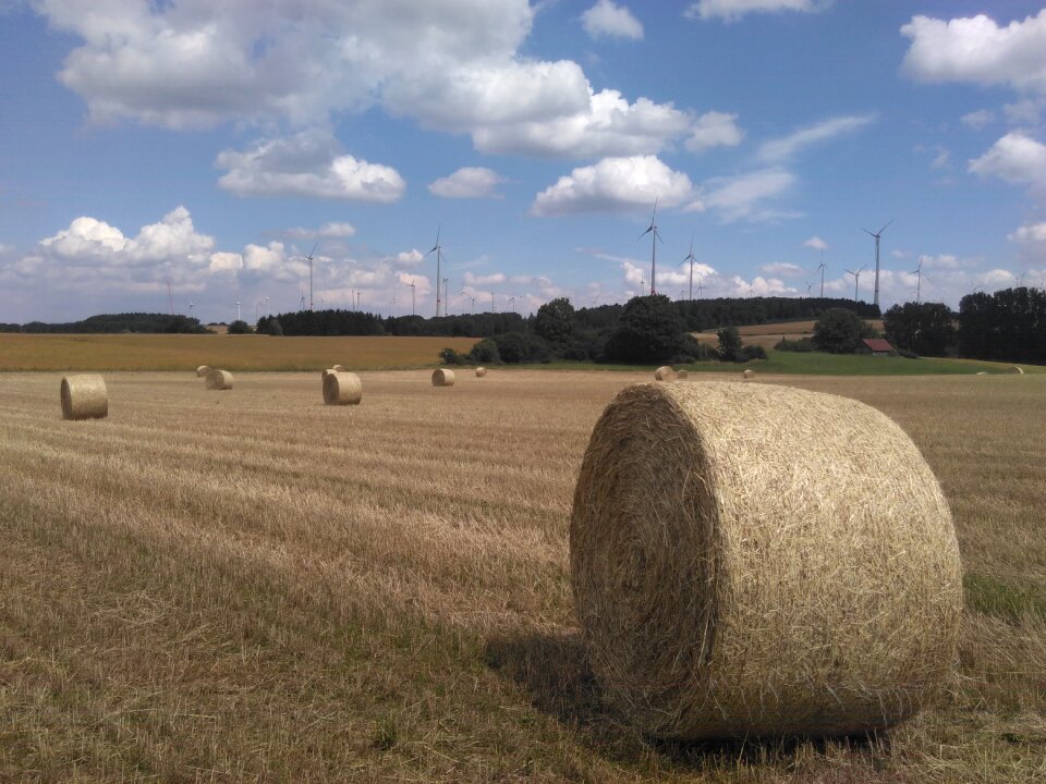 Field harvest agriculture