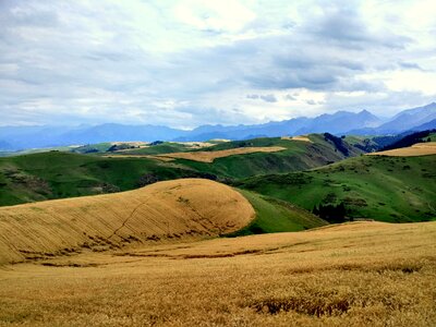 Rain hillside grassland photo