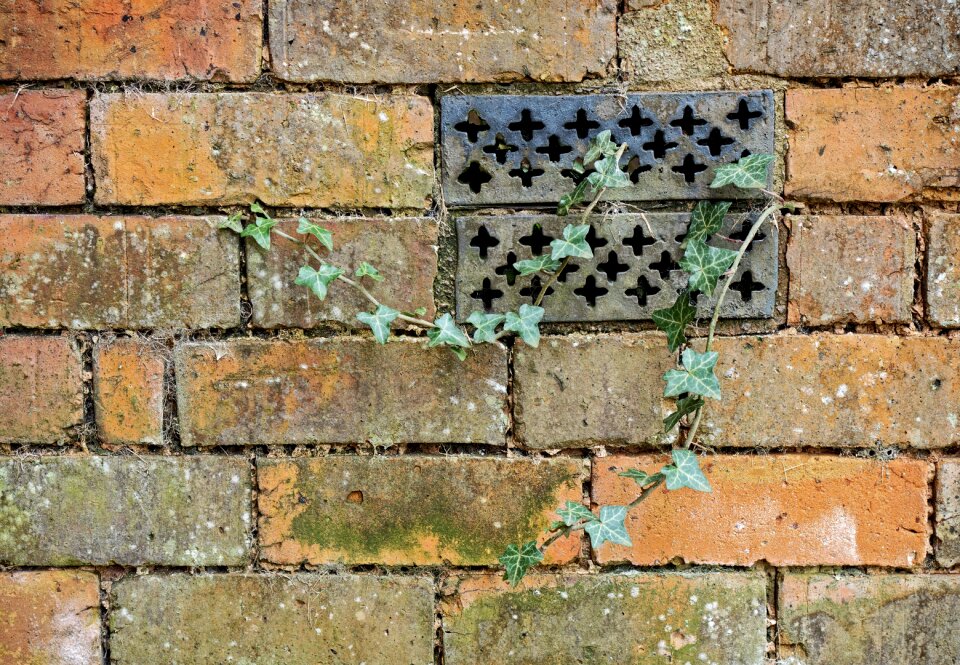 Ventilator neglect neglected