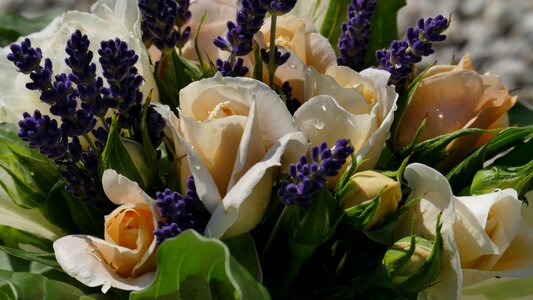 Thank you bouquet of flowers mother's day