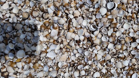 Aquatic outdoor beach