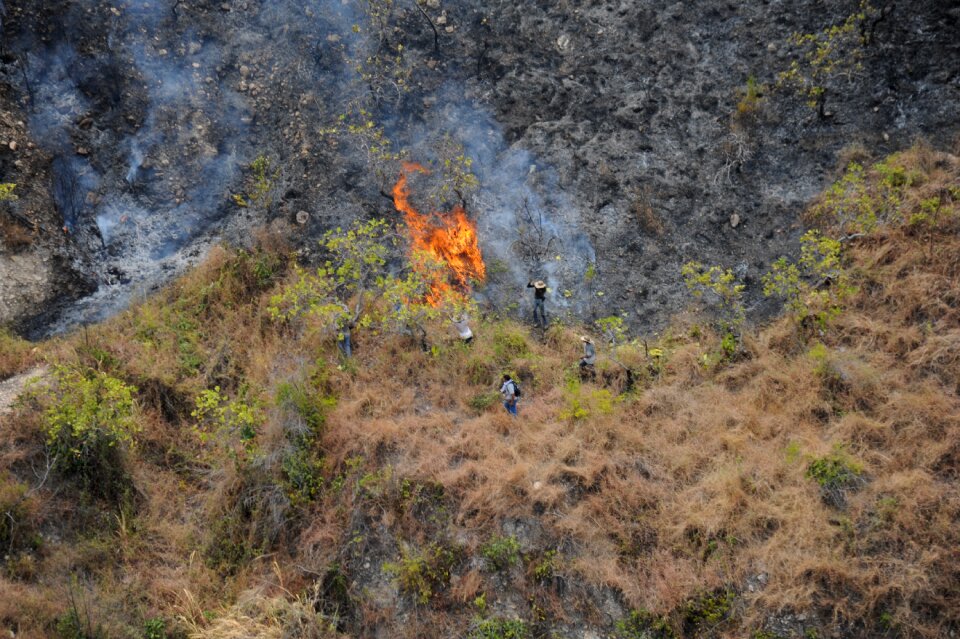 Fire disaster