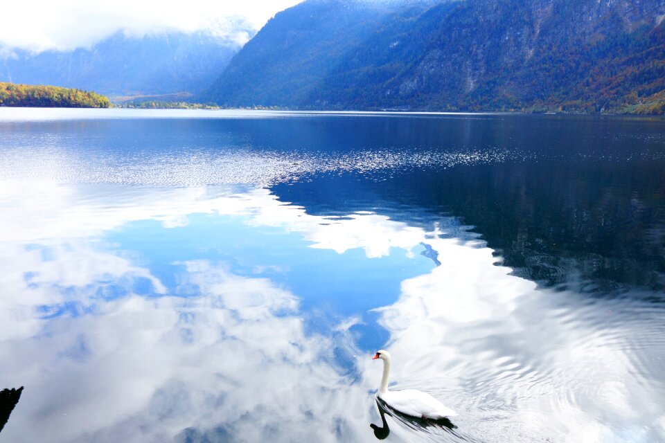 Water surface reflections
