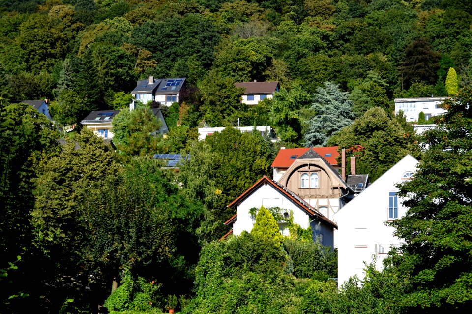 Forest architecture facades