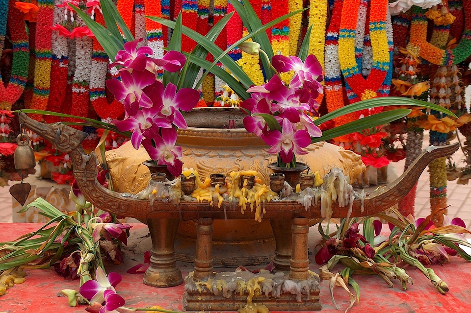 Buddhism orchid thailand