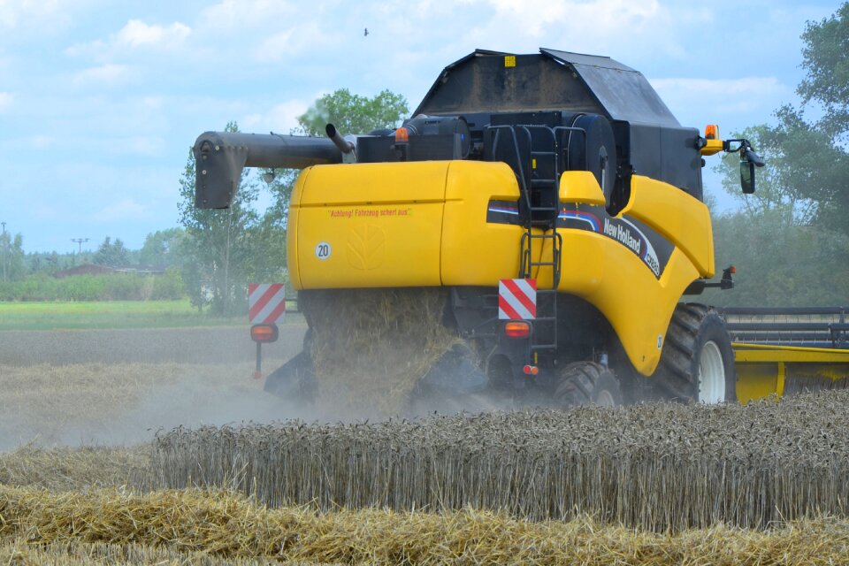 Agriculture harvester cereals