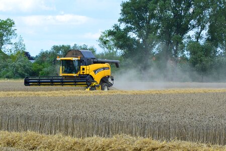 Agriculture harvester cereals photo