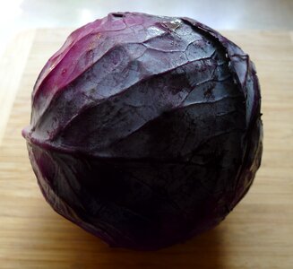 Vegetable cabbage food