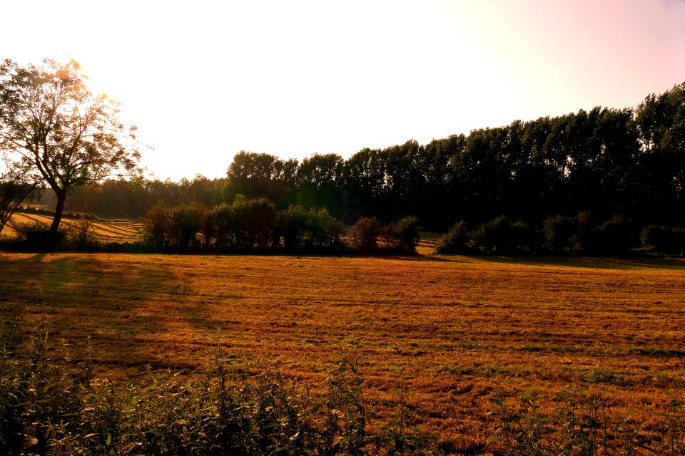 Field agriculture