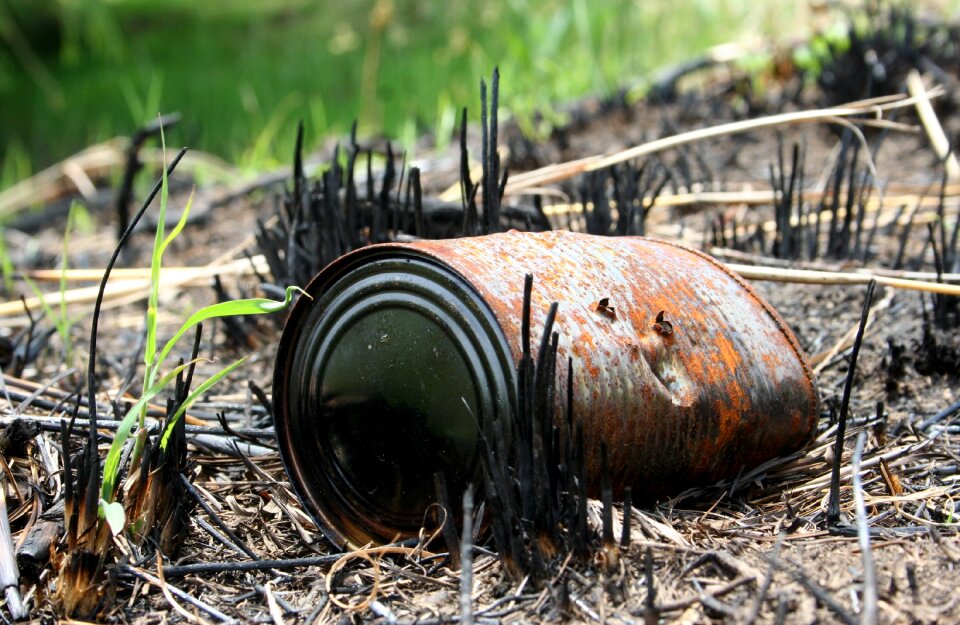 Growth fire destruction