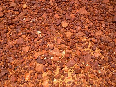 Simpson desert bedourie