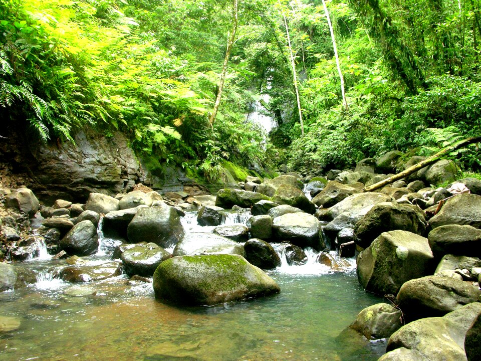 Costarica puntarenas