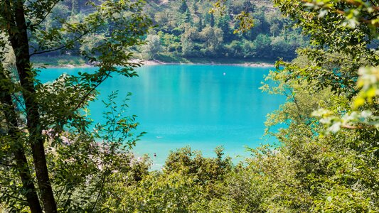 Badesee green summer