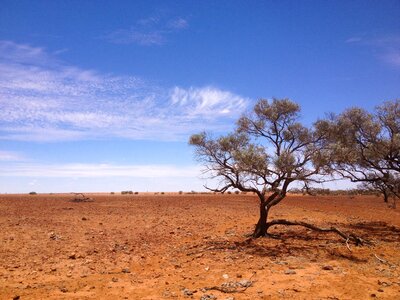 Arid dry outback photo