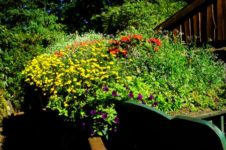 Plant decoration motif