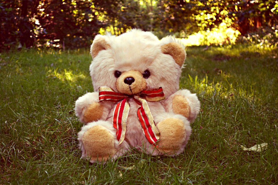 Toy cuddly toy furry