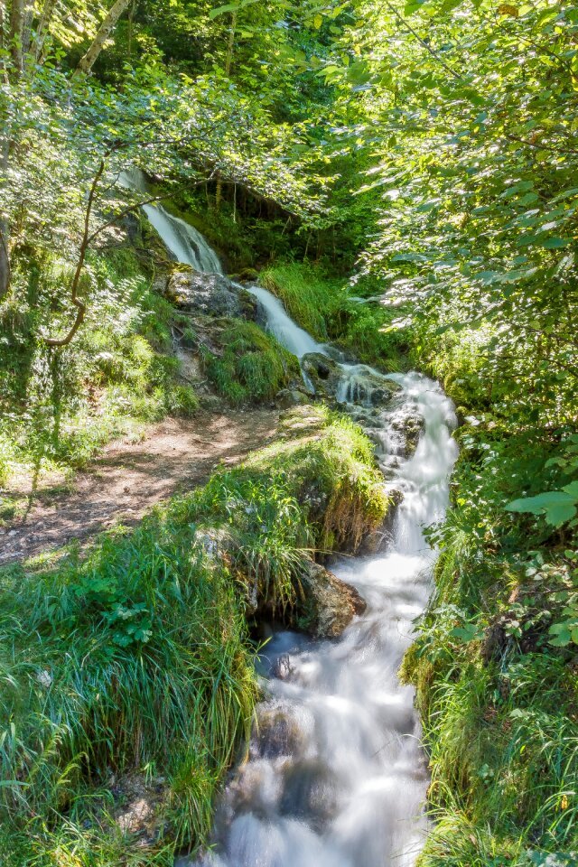 Creek flow green