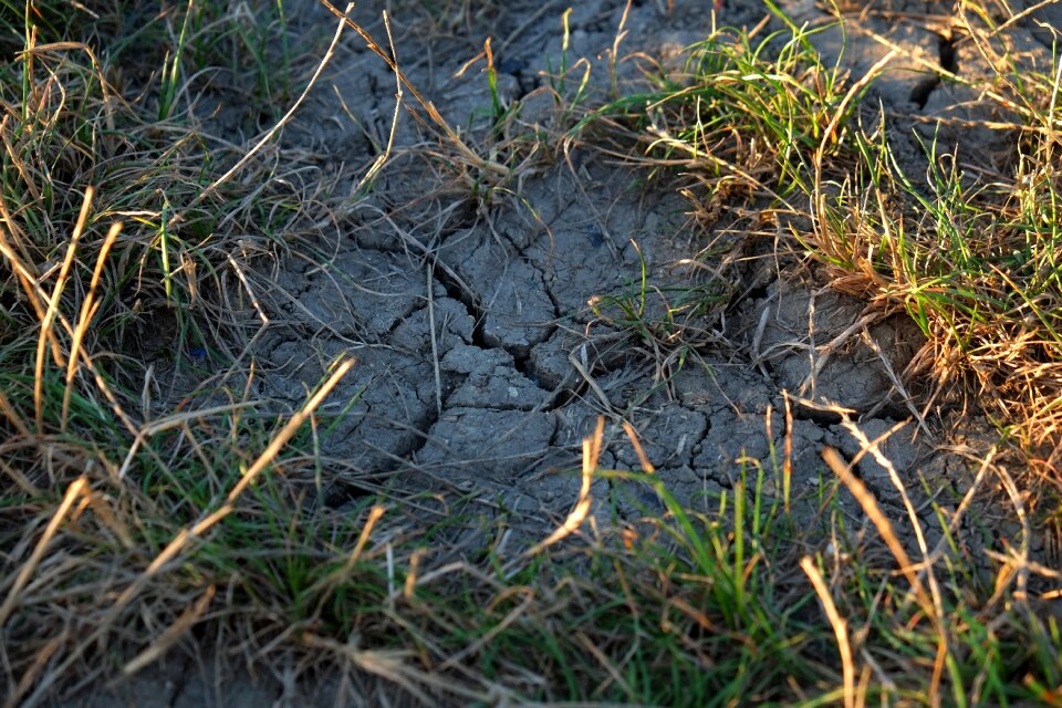 Sandy nature dry